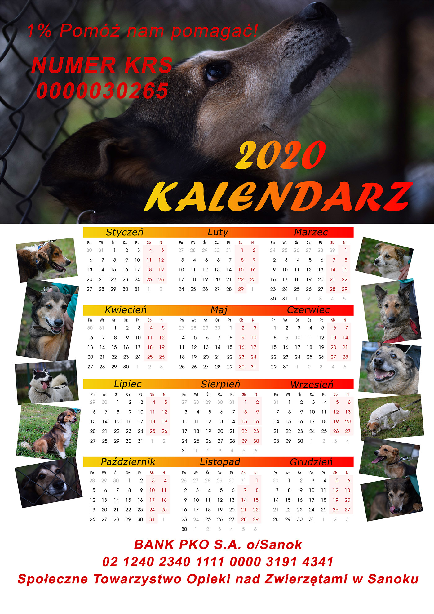 Zuza Radwańska kalendarz psy